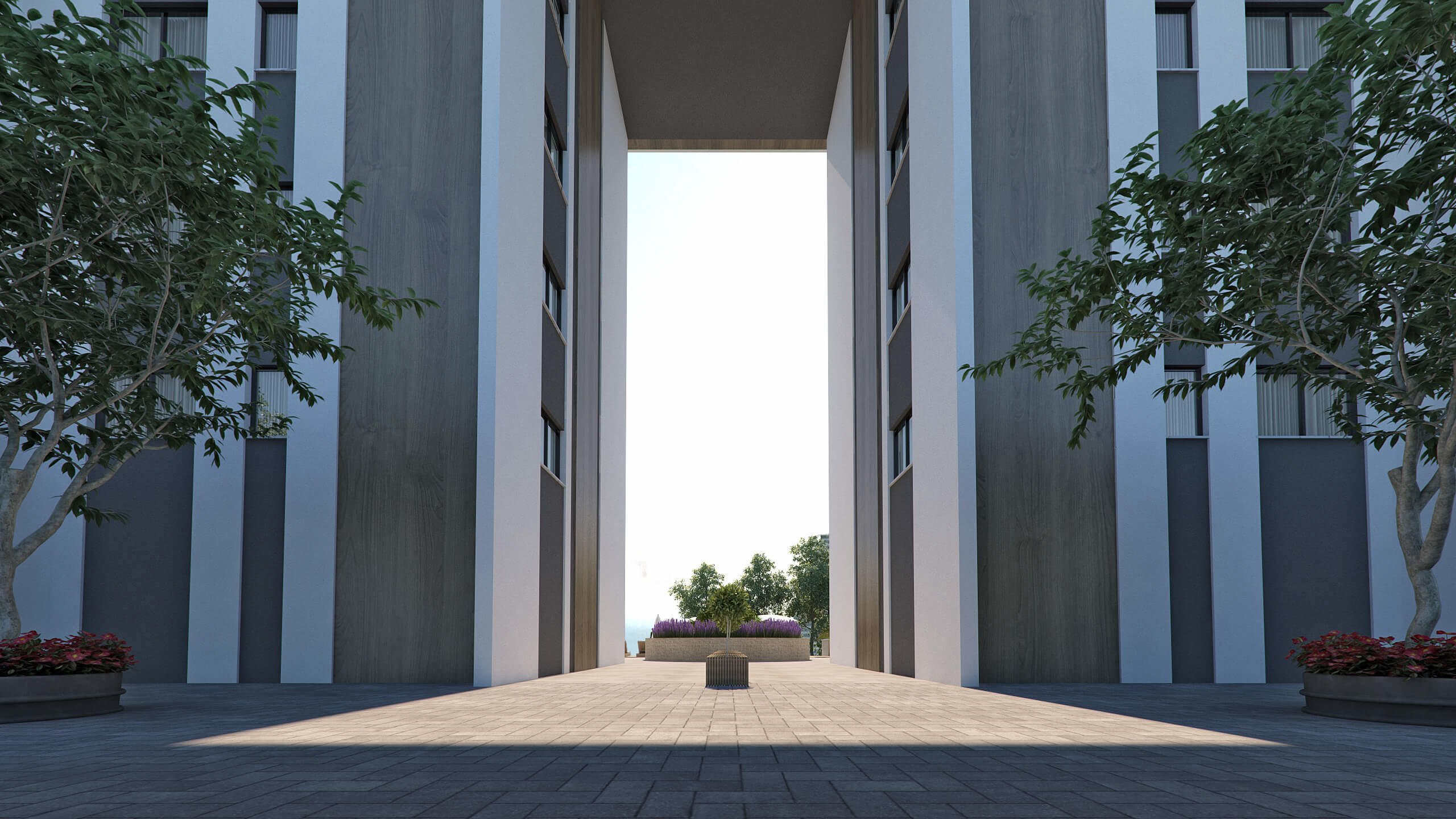 Dual Residence